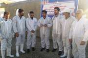 اجرای مانور میدانی با محوریت بروسلوز(تب مالت) در دامپزشکی اسدآباد